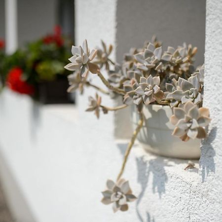 Bakta Haz Hotell Egerbakta Exteriör bild